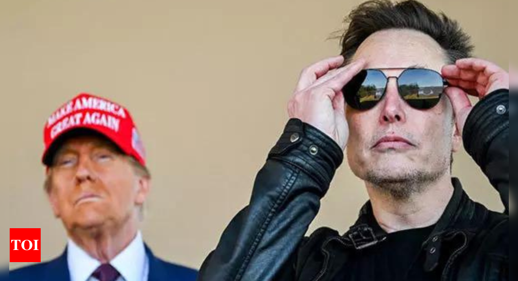 Donald Trump responds to Elon Musk's 'what did you get done this week?' directive