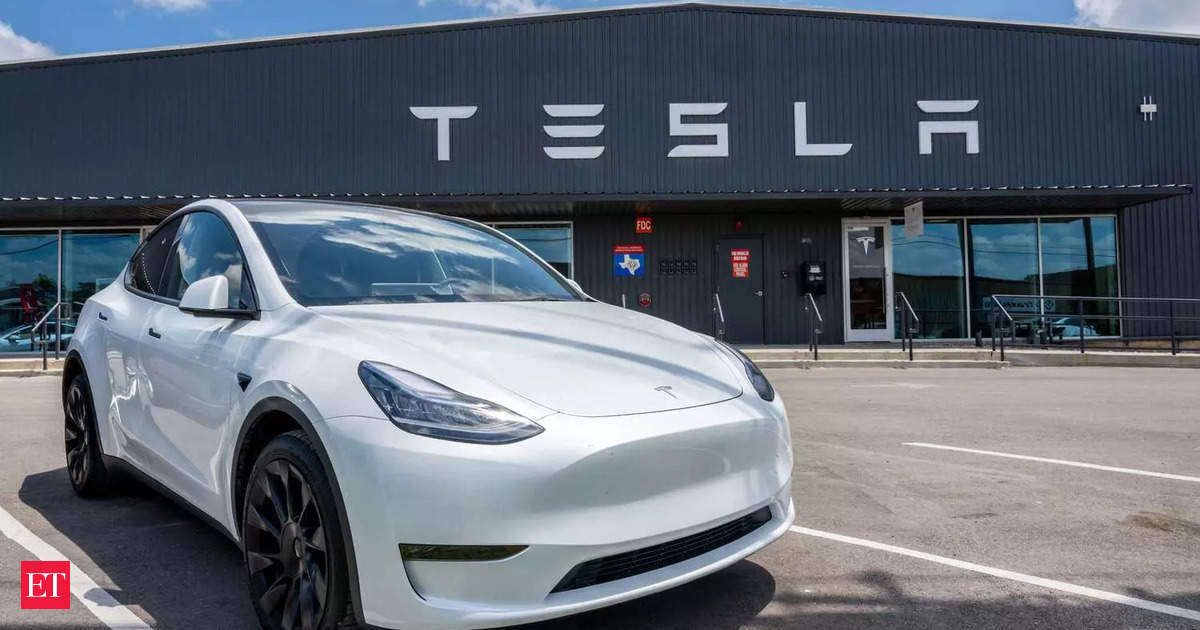 Tesla stock forecast: Buckle Up! Tesla shareholder Ross Gerber drops four alarming reasons the stock could tank 50% in 2025; if you are invested check out what he is saying